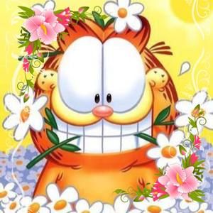 Meet your Posher, Joyce